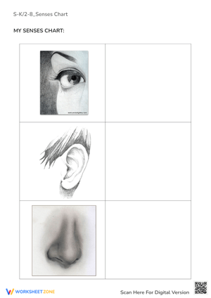S-K2-8_Senses Chart