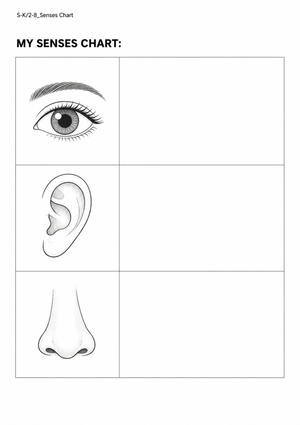 Grade 1 Five Senses — Printable No-Prep Worksheet