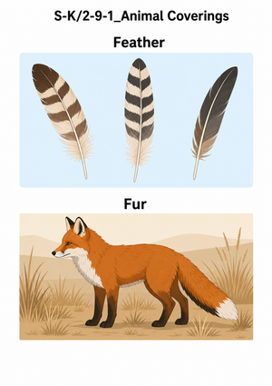 Animal Coverings Worksheet | Grade 1 Essential Science