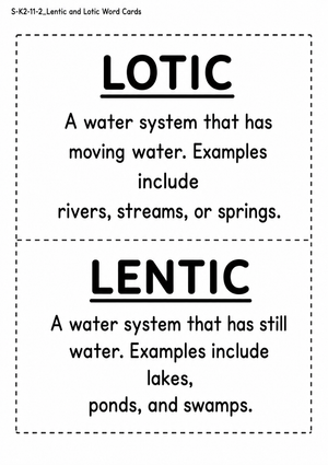 Essential Lentic and Lotic Word Cards | Grade 1 Science