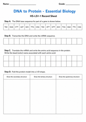 HS-LS1-1 Worksheet: DNA to Protein — Essential Biology