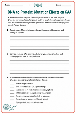 Printable DNA to Protein Worksheet | Grade 10-12 Science