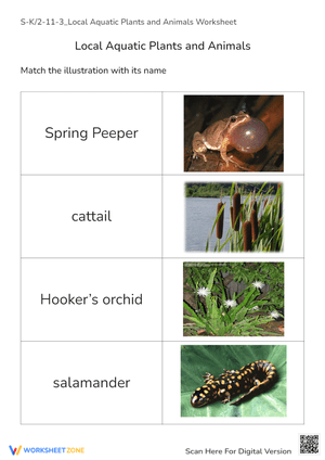 Local Aquatic Plants and Animals Worksheet