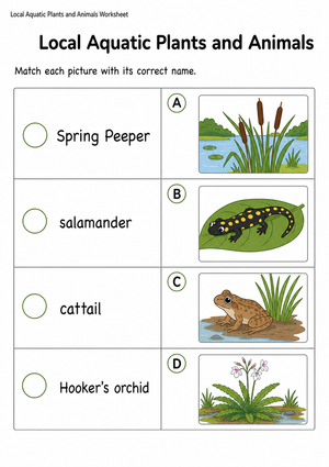 Grade 1 Aquatic Habitats — Printable No-Prep Worksheet