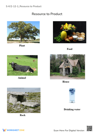 Natural Resources for Kids - Identify & Learn! (K-2)