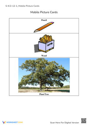 Pencil, Wood & Tree Vocabulary - Picture Cards for Early Learners