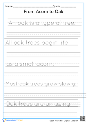 Acorn to Oak Tree Handwriting Practice - K-1 Sentence Tracing