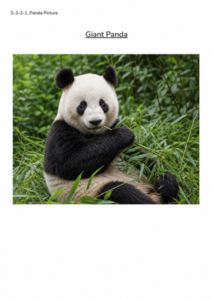 Grade 3 Giant Panda Habitat — Printable No-Prep Worksheet