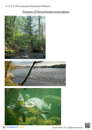 Pennsylvania Ecosystems: Explore Rivers, Forests & Fish!