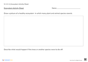 Ecosystems: Draw & Describe! Plant & Animal Life Worksheet