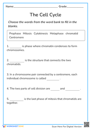 Cell Cycle Fill-in-the-Blank Worksheet - Grades 7-9 Science