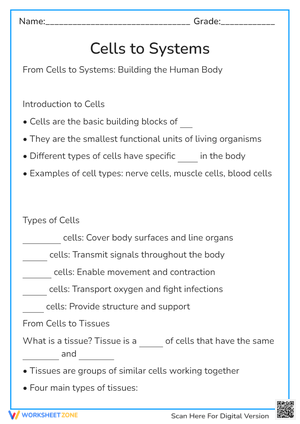 cells and body systems