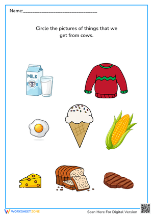 cows ws