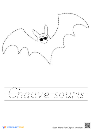 Bat Tracing Worksheet