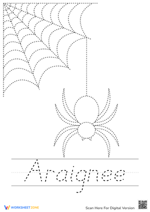 Spider Tracing Worksheet