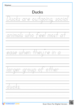 Ducks Handwriting 