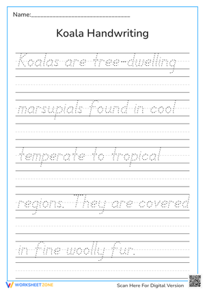 Koala