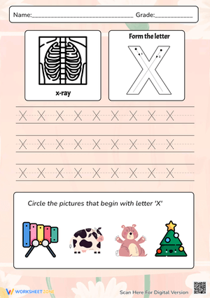 X-Words: Handwriting Without Tears Guide