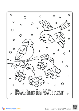 Robins in Winter Coloring Page - Winter Birds Activity