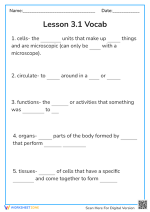 Lesson 1.3 Vocab