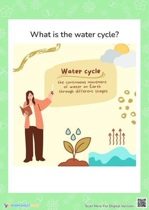 What is the water cycle?