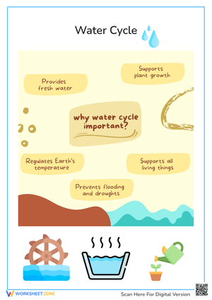 Why the Water Cycle is Important: Key Benefits Explained