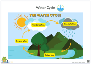 The Water Cycle: Interactive Diagram for Kids