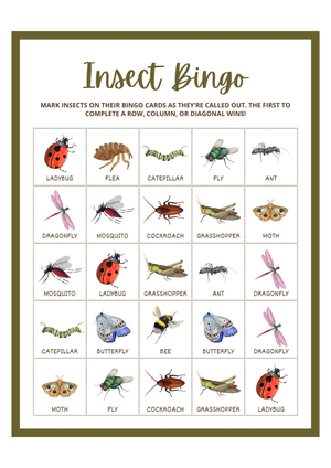 Insect Bingo worksheet