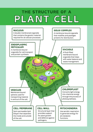 Plant Cell Structure Worksheet