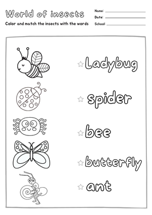 Insect Matching Worksheet | Printable PreK-K Activity