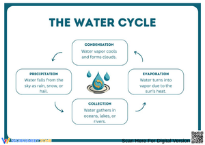 Main Idea Anchor Chart: The Water Cycle Explained