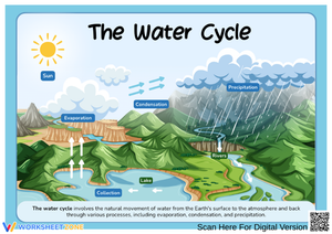 What Is the Water Cycle? Key Stages Explained Simply