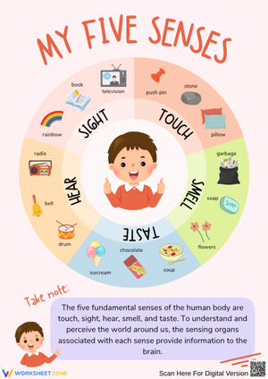 My Five Senses Chart for Early Learners