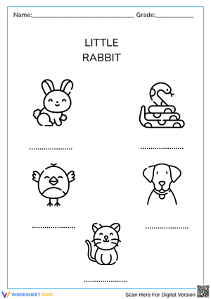 little rabbit