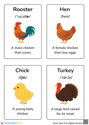 Flashcards Animals Farm – Poultry Vocabulary for Kids