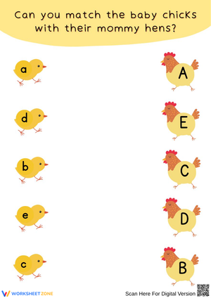 Uppercase and Lowercase Letter Matching