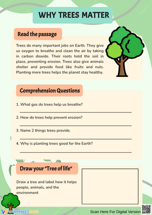 Why Trees Matter Worksheet – Tree Benefits & Earth Science Activity