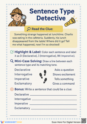 Sentence Type Detective Worksheet – Identify & Write