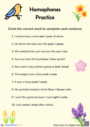 Homophones Practice Worksheet for Kids
