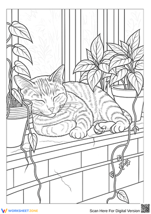 Sleeping Cat on Windowsill – Adult Coloring Page