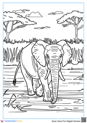 African Elephant in Wetland – Adult Coloring Page