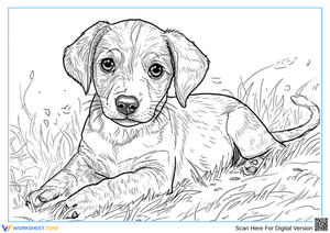 Realistic Puppy Coloring Page for Adults – Lying in Grass
