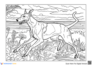 Greyhound Coloring Page for Adults – Nature Scene