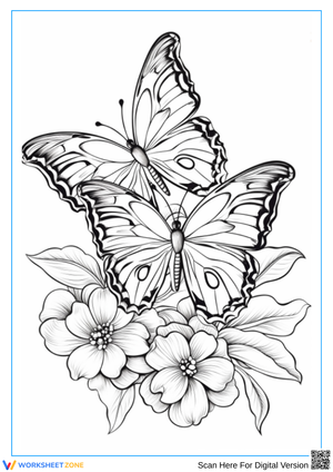 Butterflies and Blossoms – Intricate Adult Coloring Page