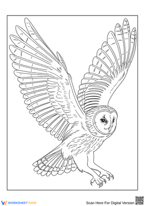 Owl in Flight Coloring Page for Adults