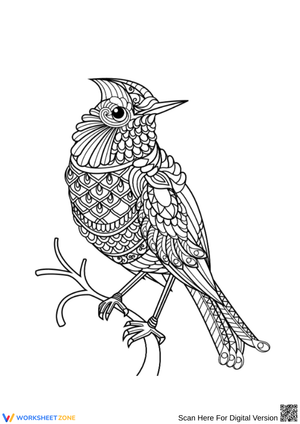 Intricate Bird Coloring Page – Printable Design for Adults