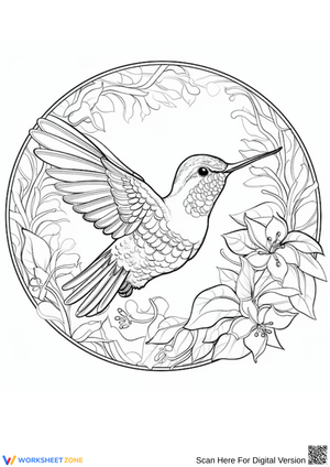 Hummingbird in Flight – Elegant Adult Coloring Page
