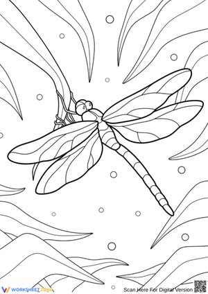 Realistic Dragonfly Coloring Page in Nature Scene