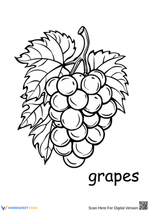 Labeled Grapes Coloring Page for Early Learners