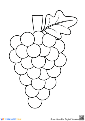 Simple Grapes Coloring Page for Preschool and Kindergarten